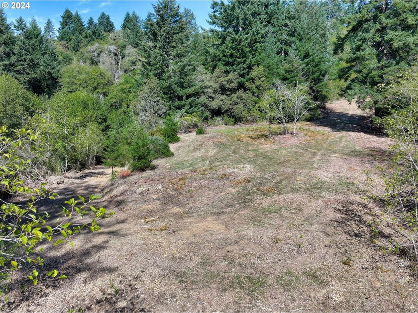 EXTREMELY RARE. 16.85 acres undeveloped and inside the city - photo 14