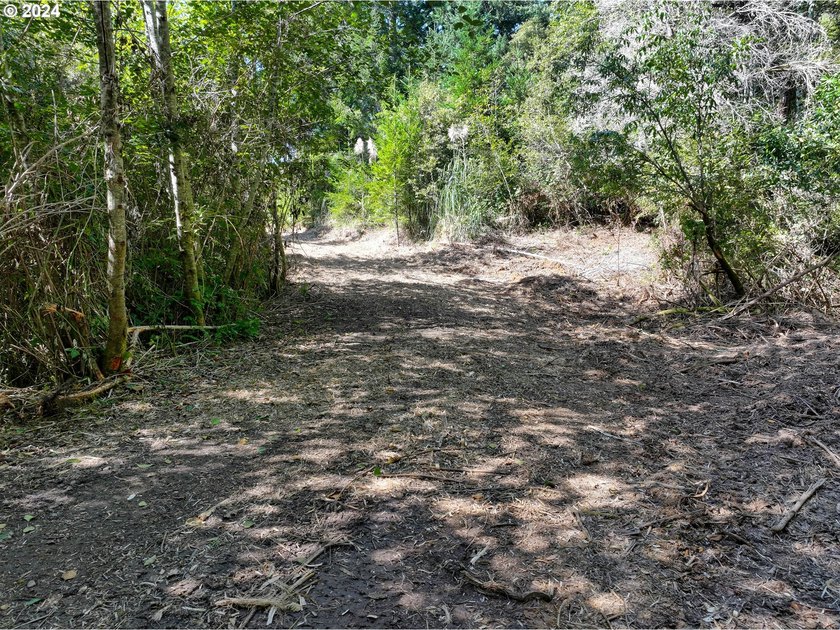 EXTREMELY RARE. 16.85 acres undeveloped and inside the city - photo 16