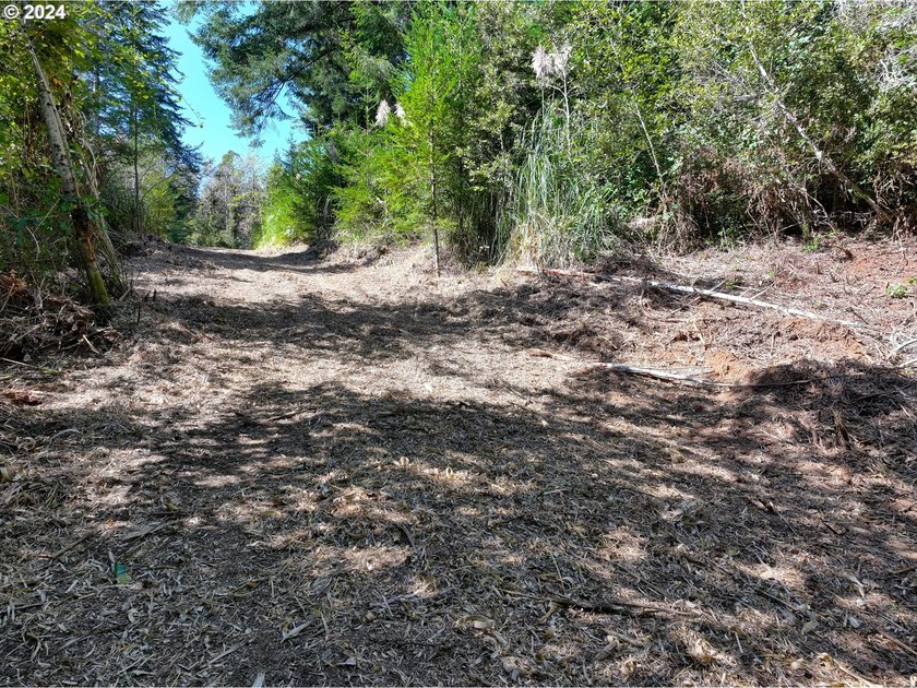 EXTREMELY RARE. 16.85 acres undeveloped and inside the city - photo 17