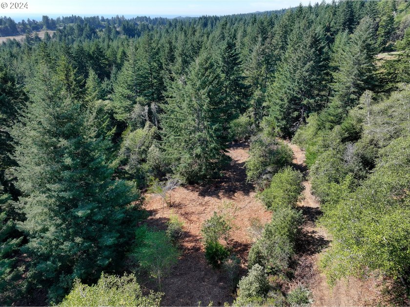 EXTREMELY RARE. 16.85 acres undeveloped and inside the city - photo 20