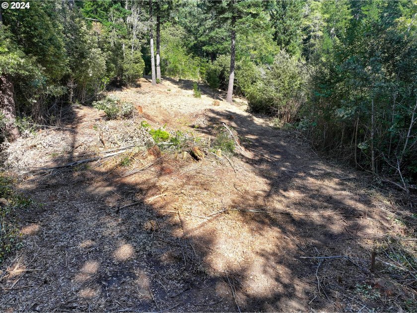 EXTREMELY RARE. 16.85 acres undeveloped and inside the city - photo 22