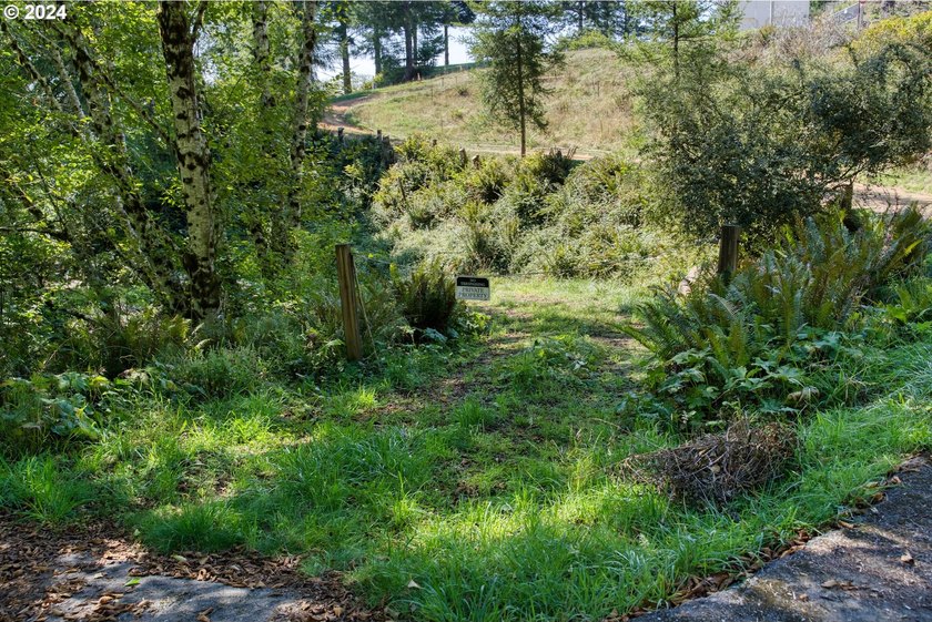 EXTREMELY RARE. 16.85 acres undeveloped and inside the city - photo 23
