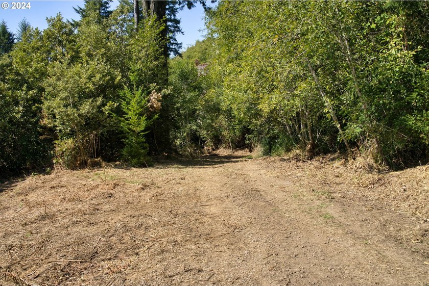 EXTREMELY RARE. 16.85 acres undeveloped and inside the city - photo 24