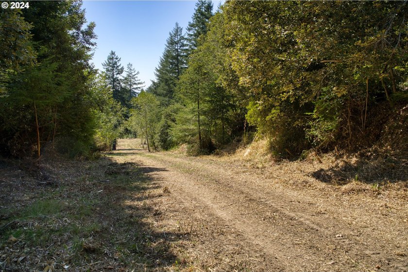 EXTREMELY RARE. 16.85 acres undeveloped and inside the city - photo 25