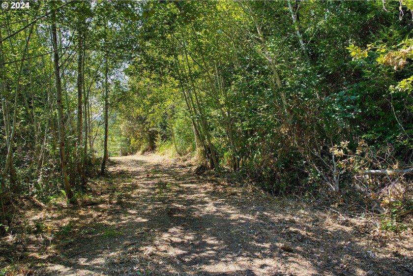 EXTREMELY RARE. 16.85 acres undeveloped and inside the city - photo 26