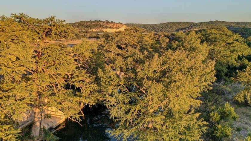 Set on 22.45 wildlife-exempt AC in the heart of the Hill Country - photo 50