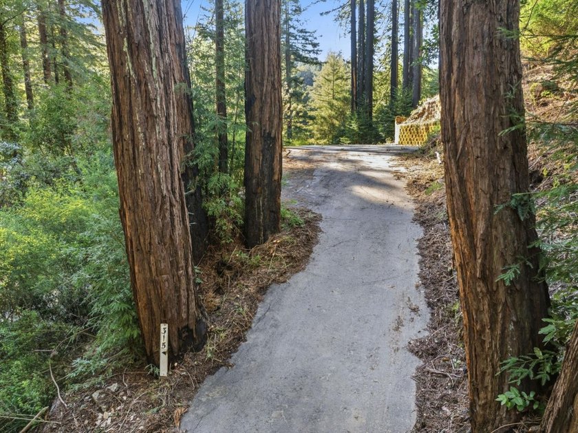 Commute to Silicon Valley without giving up the peace and quiet - photo 4