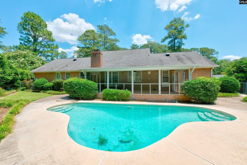 A private inground pool, spacious screened porch, and impressive - photo 3
