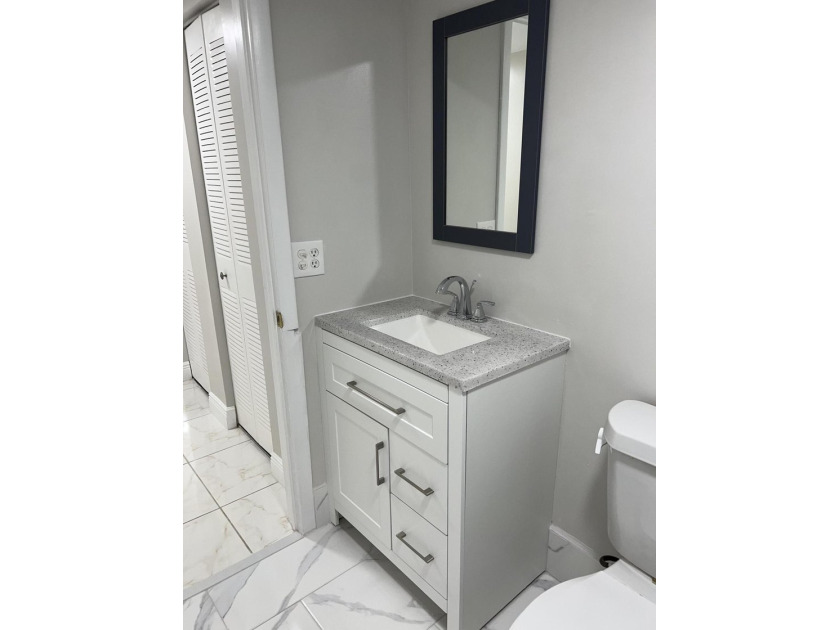 Light and Bright RENOVATED Large 1 bedroom with 2 full baths - photo 8