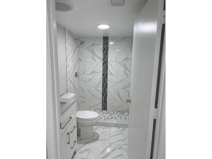 Light and Bright RENOVATED Large 1 bedroom with 2 full baths - photo 9