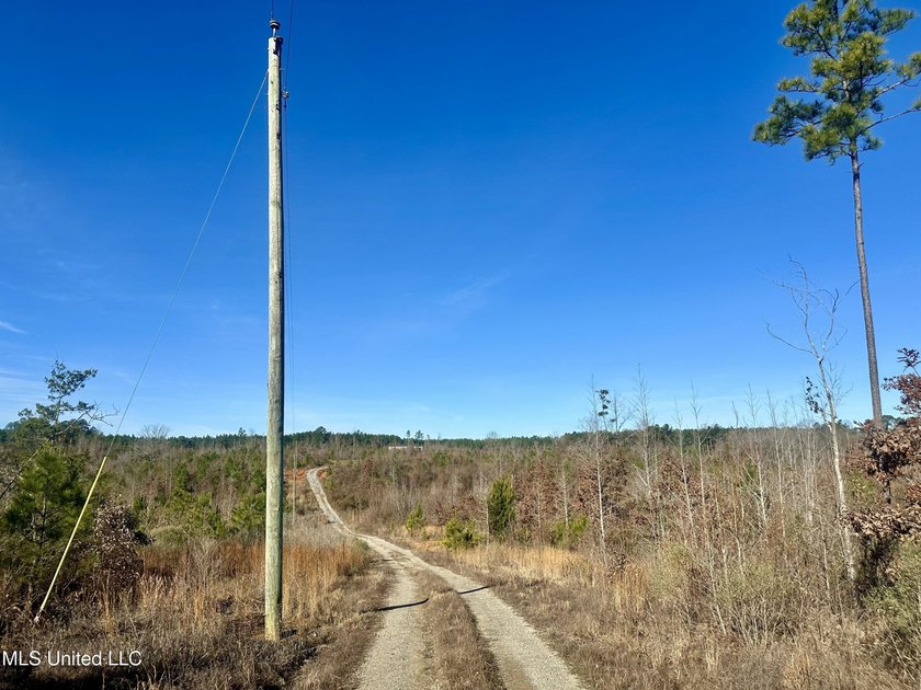 Located off Attala Road 3027 in Attala County, Mississippi, this - photo 9