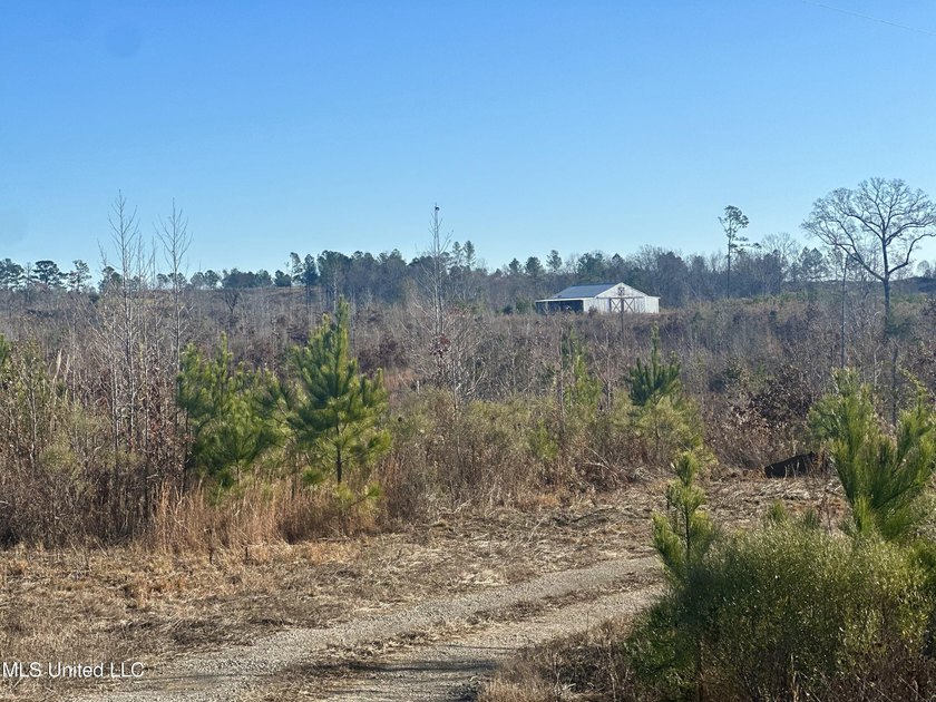 Located off Attala Road 3027 in Attala County, Mississippi, this - photo 10
