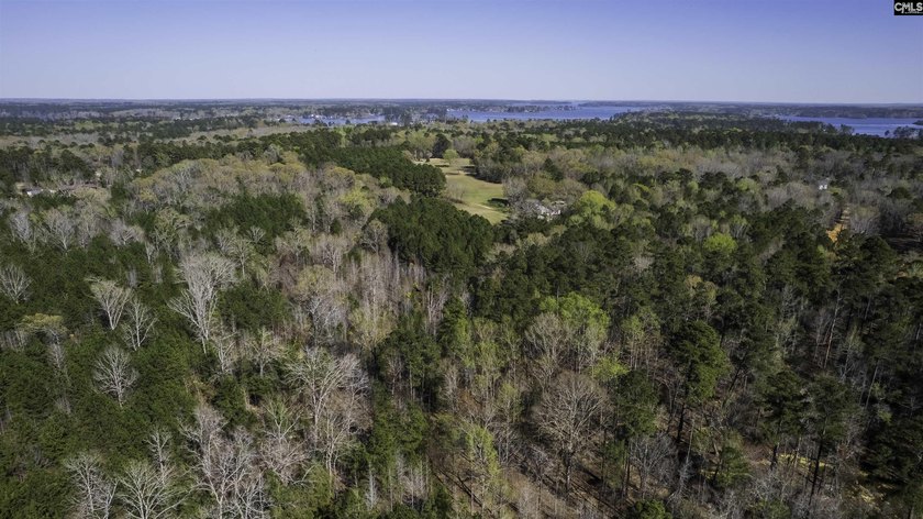 9.71 Acres Tucked away near Lake Murray's edge - Holly Point Rd - photo 2