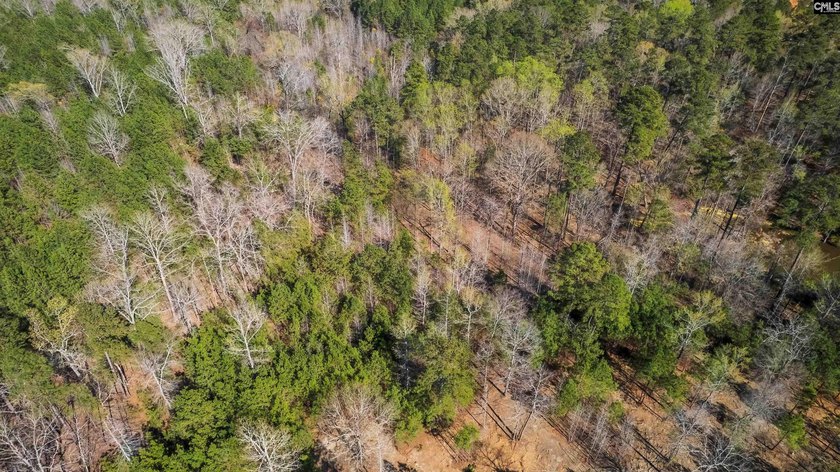 9.71 Acres Tucked away near Lake Murray's edge - Holly Point Rd - photo 3