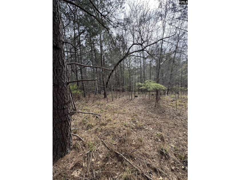 9.71 Acres Tucked away near Lake Murray's edge - Holly Point Rd - photo 5