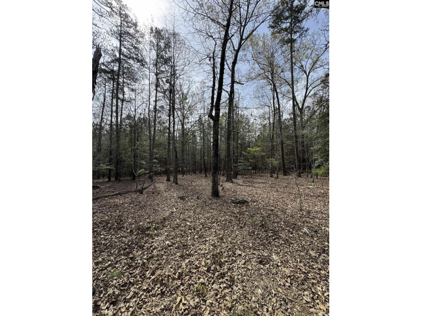 9.71 Acres Tucked away near Lake Murray's edge - Holly Point Rd - photo 8