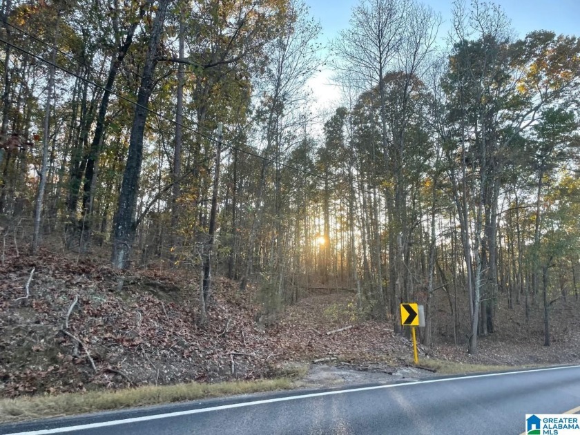 HIGHWAY 48, Wedowee, AL 36278, 3296352