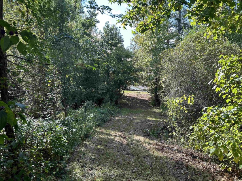 Beautiful hilltop homesite is waiting to build on, bring your - photo 5