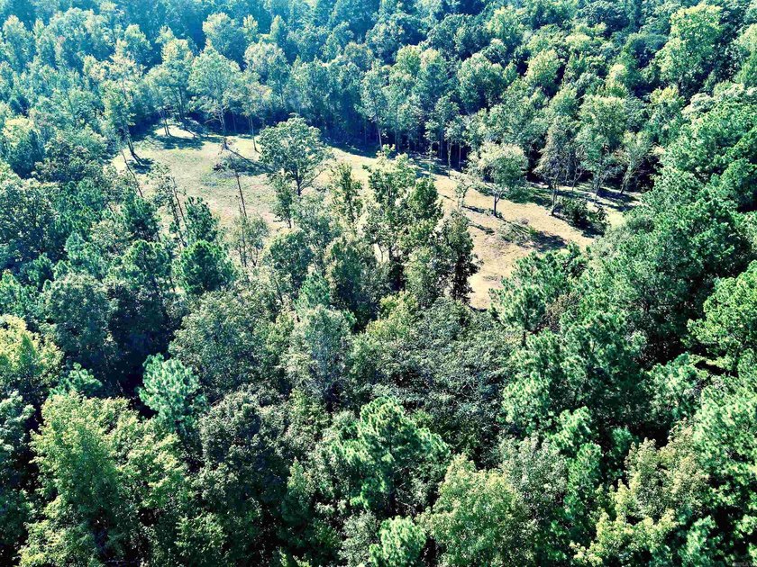Beautiful hilltop homesite is waiting to build on, bring your - photo 9