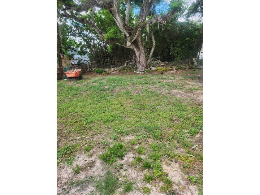 Florida charm in this cute, cozy Bungalow!   The interior has - photo 5