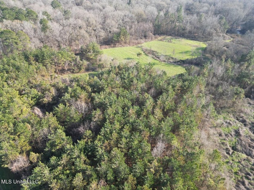 Tucked just off Highway 61 in Lorman, Mississippi, this 140+/- - photo 6