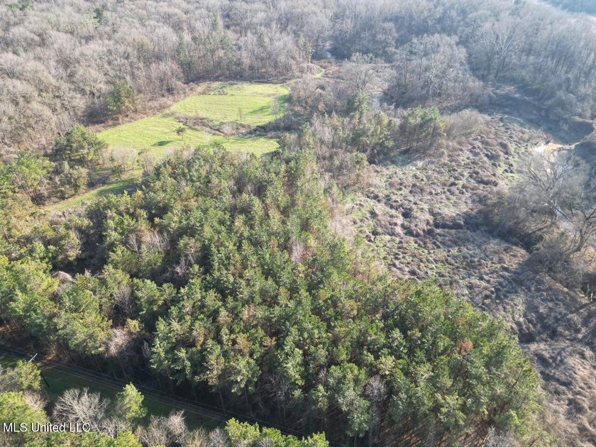 Tucked just off Highway 61 in Lorman, Mississippi, this 140+/- - photo 7