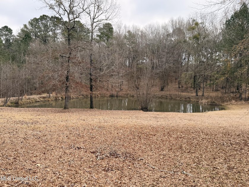 Charming single-family home situated on a beautiful country lot - photo 2
