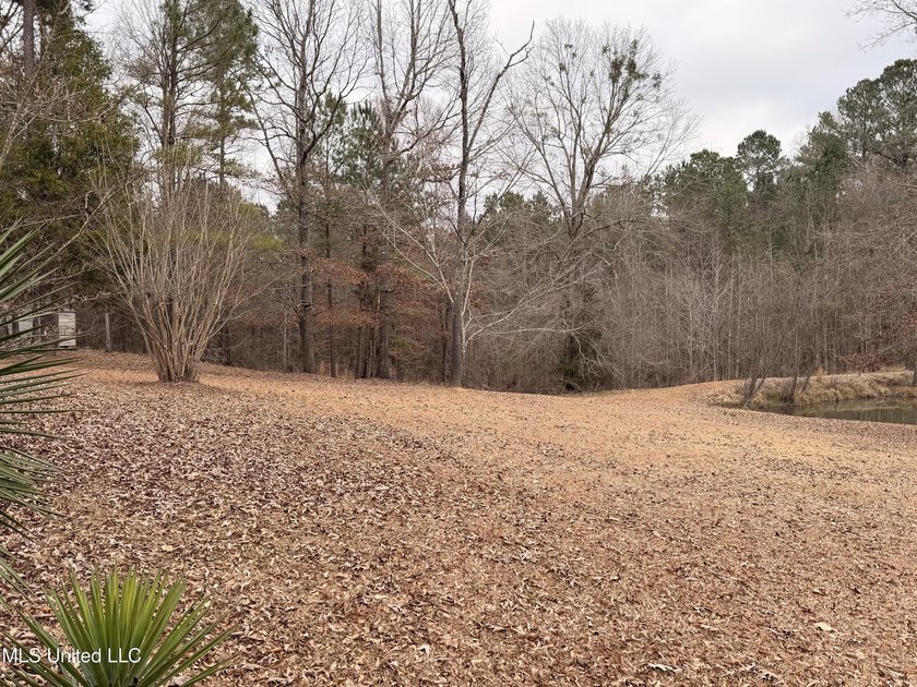 Charming single-family home situated on a beautiful country lot - photo 3