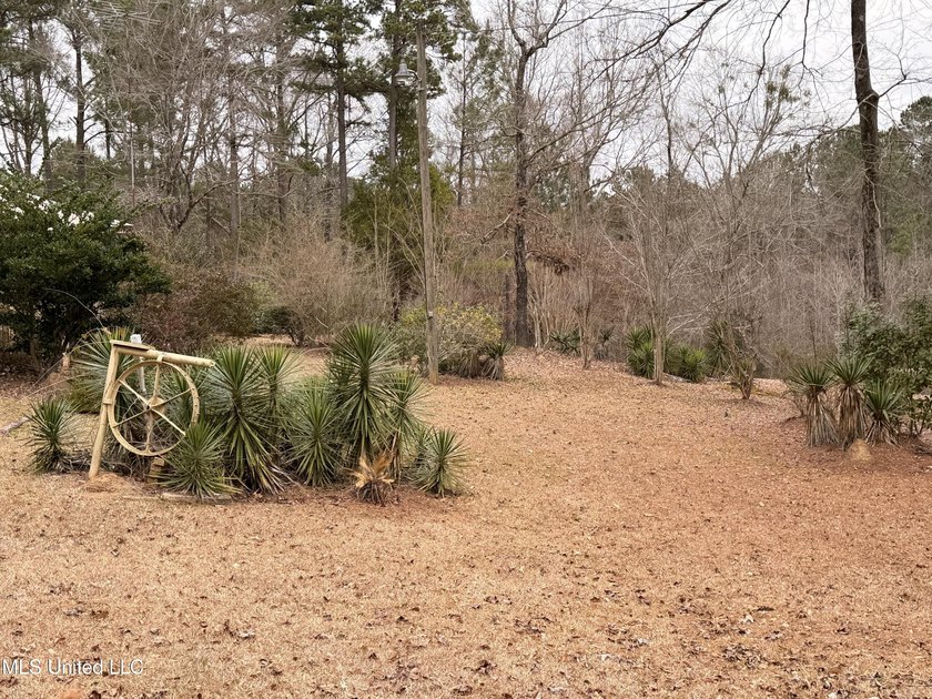 Charming single-family home situated on a beautiful country lot - photo 6