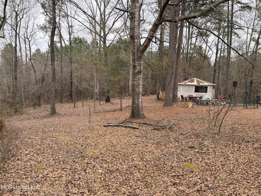 Charming single-family home situated on a beautiful country lot - photo 9