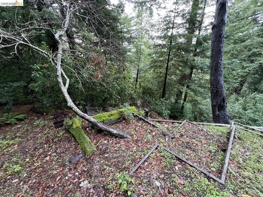 Tucked away in one of Scotts Valley's most desirable - photo 4