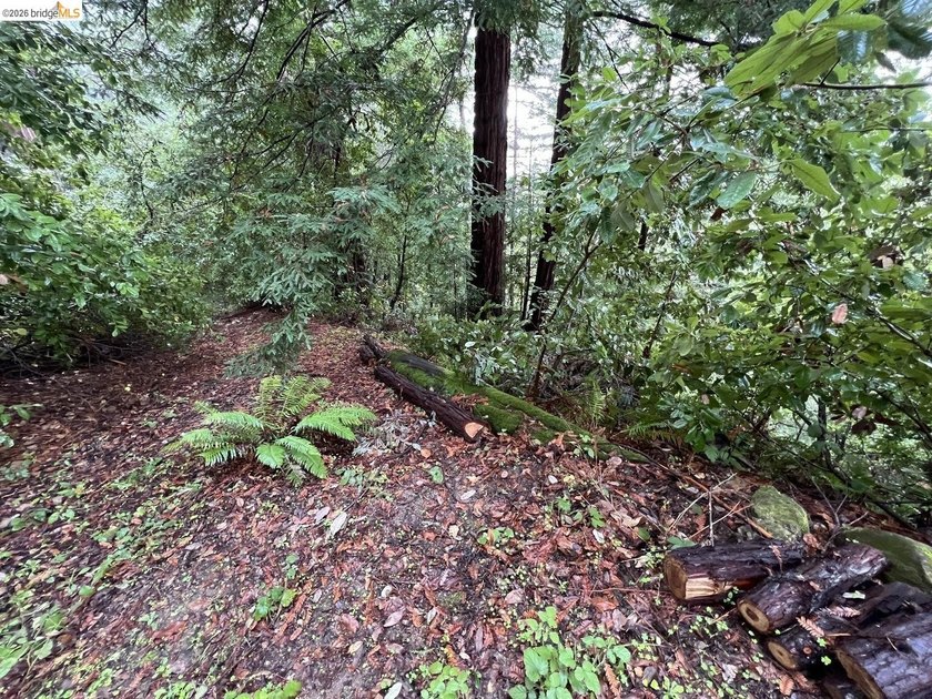 Tucked away in one of Scotts Valley's most desirable - photo 5
