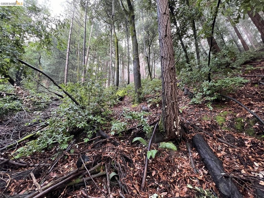 Tucked away in one of Scotts Valley's most desirable - photo 6