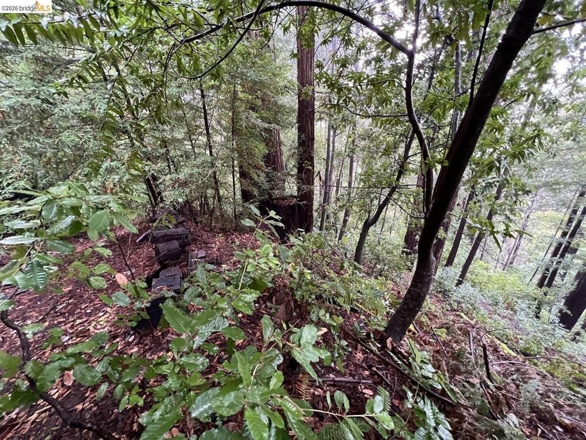Tucked away in one of Scotts Valley's most desirable - photo 10
