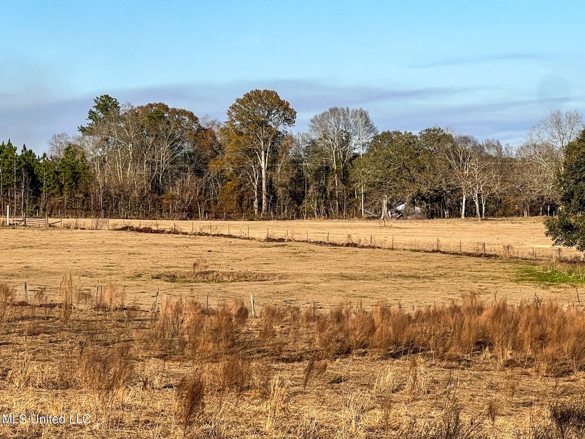 This prime real estate is a former cattle operation and is - photo 5