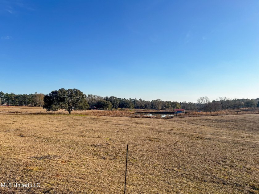 This prime real estate is a former cattle operation and is - photo 8
