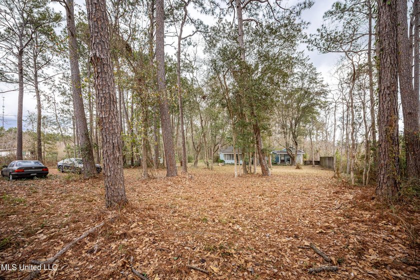 Discover exceptional potential with this 3 bedroom, 2 bath home - photo 9