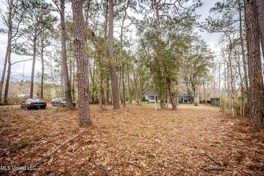 Discover exceptional potential with this 3 bedroom, 2 bath home - photo 10