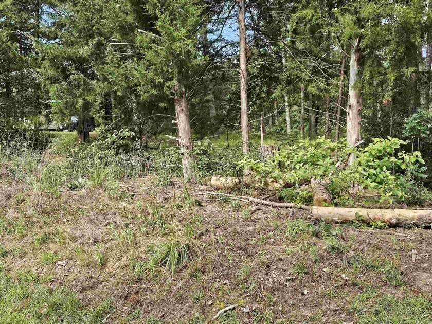 Build your dream home or weekend retreat in sought-after Holly - photo 17