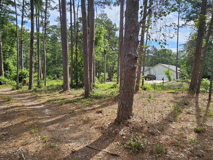 Build your dream home or weekend retreat in sought-after Holly - photo 22