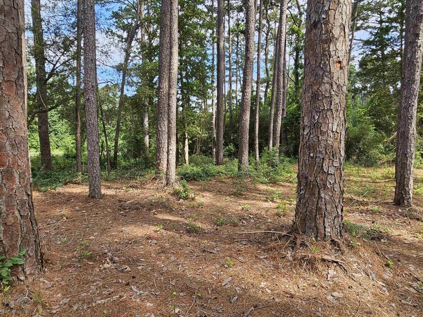 Build your dream home or weekend retreat in sought-after Holly - photo 23