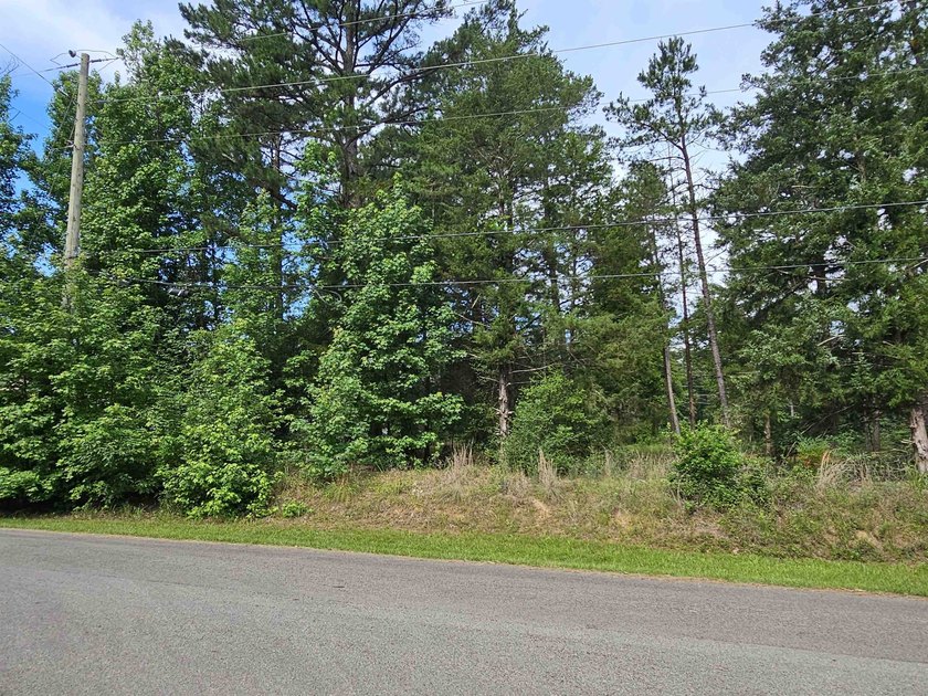 Build your dream home or weekend retreat in sought-after Holly - photo 27