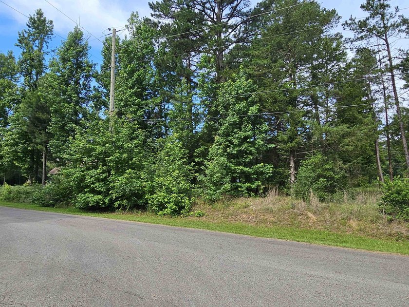 Build your dream home or weekend retreat in sought-after Holly - photo 28