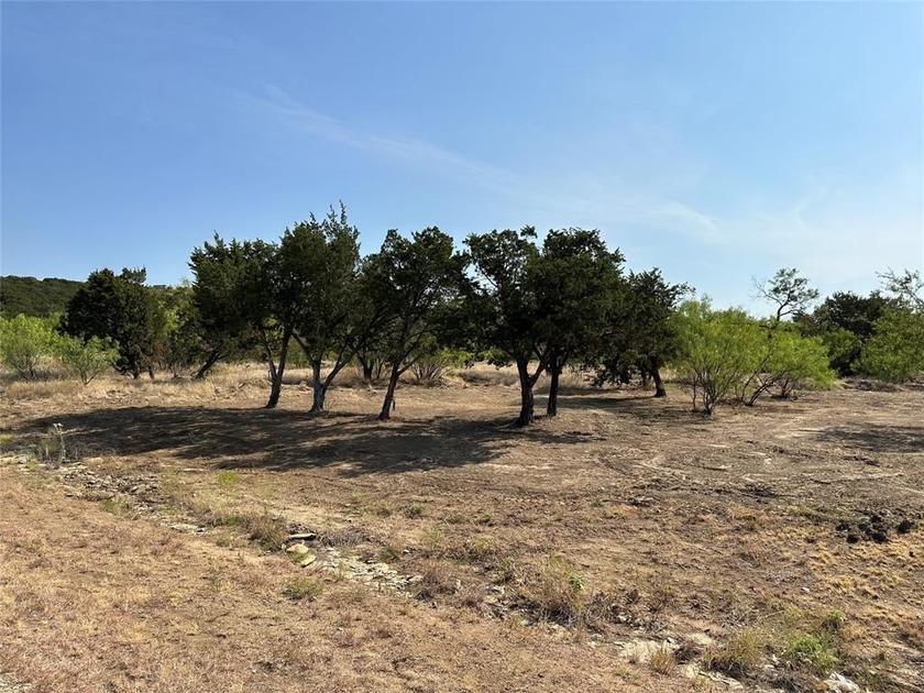 Five acres on level ground with trees and grasses. Excellent lot - photo 3
