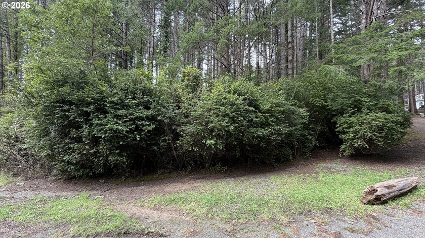Rare opportunity to own 1 acre of commercially zoned land in a - photo 3