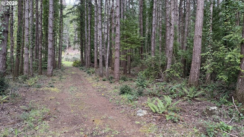 Rare opportunity to own 1 acre of commercially zoned land in a - photo 4