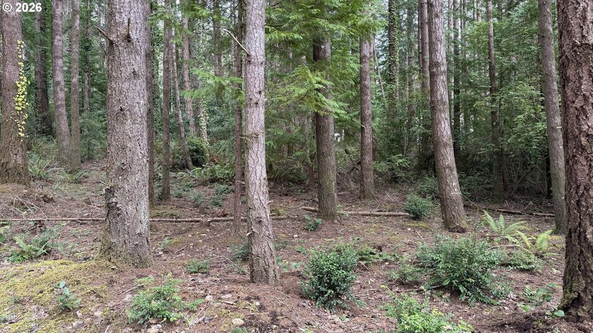 Rare opportunity to own 1 acre of commercially zoned land in a - photo 5