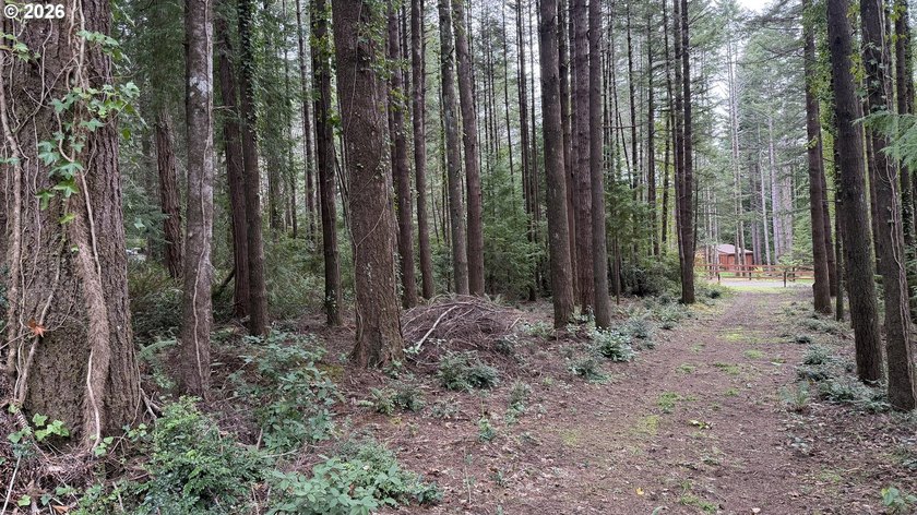 Rare opportunity to own 1 acre of commercially zoned land in a - photo 6