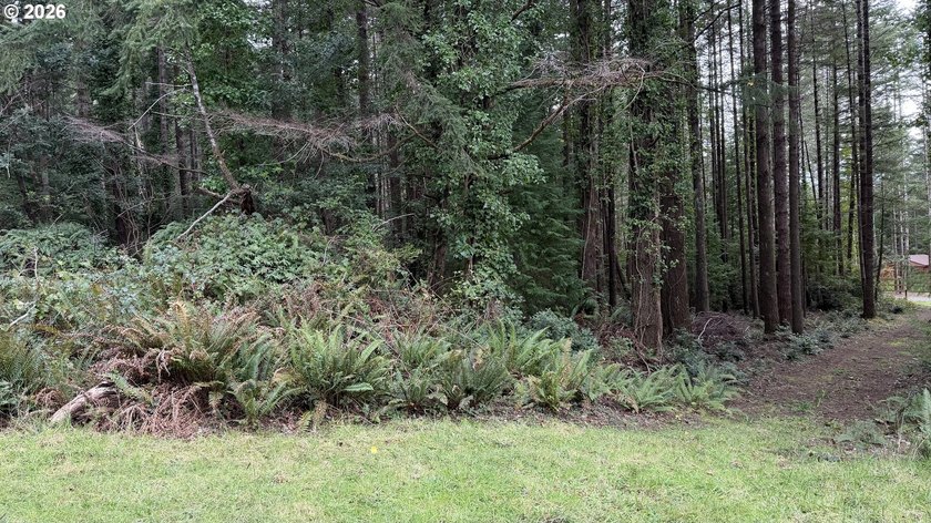Rare opportunity to own 1 acre of commercially zoned land in a - photo 7