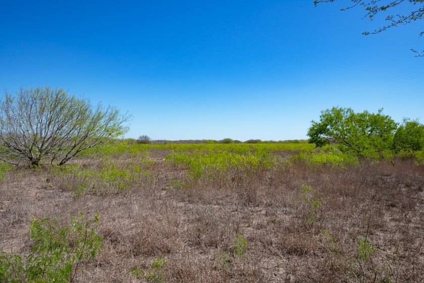 Welcome to your South Texas gentleman's ranch retreat or your - photo 36